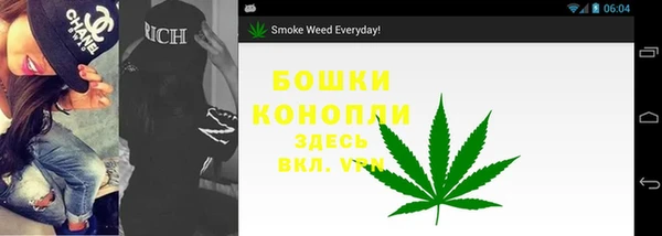 spice Алзамай