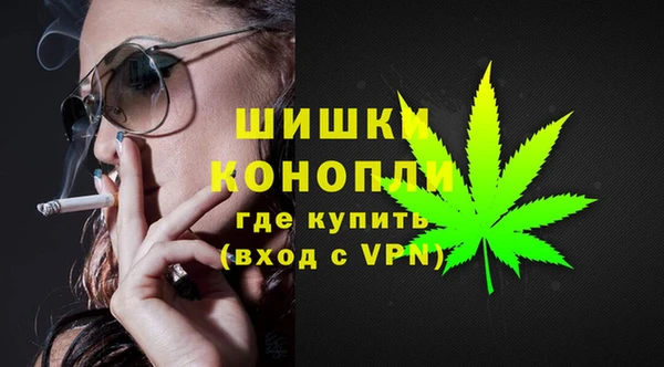 spice Алзамай