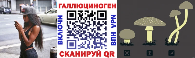 продажа наркотиков  Гвардейск  мега ссылка  Галлюциногенные грибы прущие грибы 